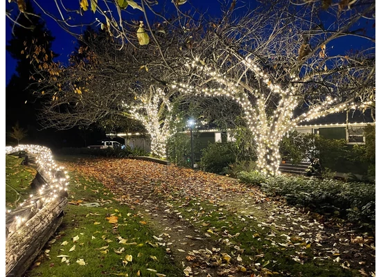 Ünnepek alatti LED világítás beltéren és kültéren