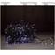 Kép 2/2 - Entac Karácsonyi Fürtös Fényfüzér 400 LED, CW, 6400K, (hideg fehér), 8m, IP44